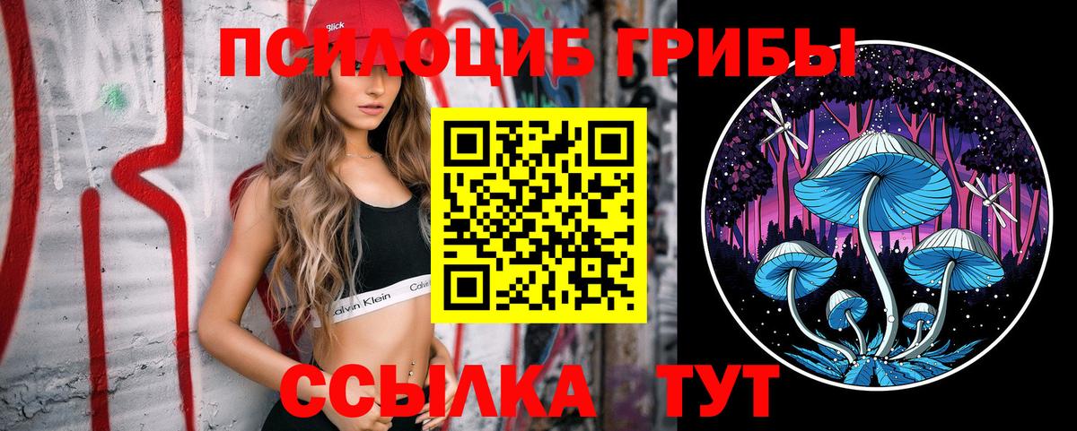 Псилоцибиновые грибы прущие грибы  Вход с VPN  Мценск 